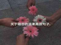 安徽杰盼电子商务有限公司
