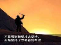 安徽杰盼电子商务有限公司