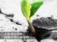 安徽杰盼电子商务有限公司