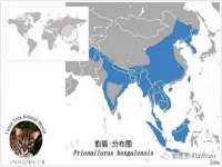 安徽杰盼电子商务有限公司