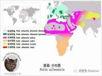 安徽杰盼电子商务有限公司