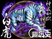 安徽杰盼电子商务有限公司