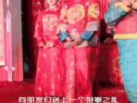 安徽杰盼电子商务有限公司