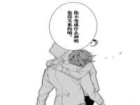 安徽杰盼电子商务有限公司