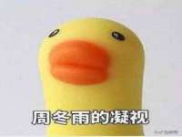安徽杰盼电子商务有限公司